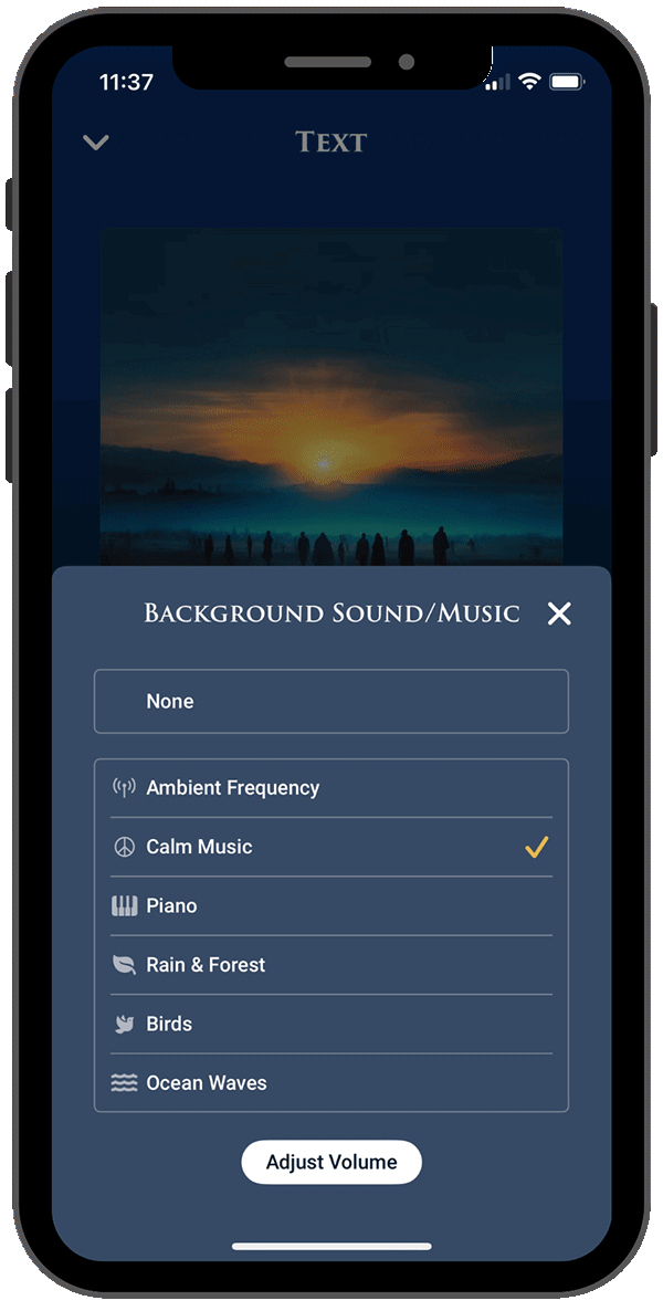 Customizable Playback